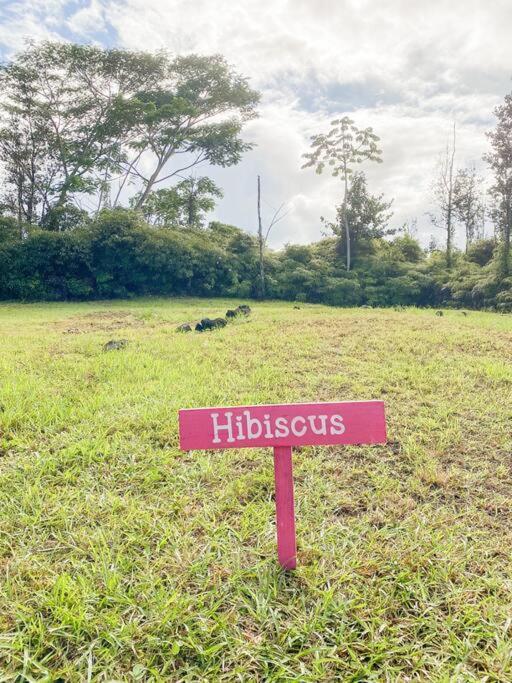 Appartamento Hibiscus Hale, Full Kitchen, King Bed, Parking Keaau Esterno foto